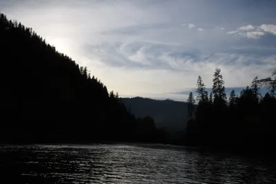 DSC_0290 (Large).JPG